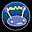 IBVA icon